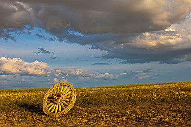 传言称Switch 2游戏卡性能表现或不及内部存储游戏